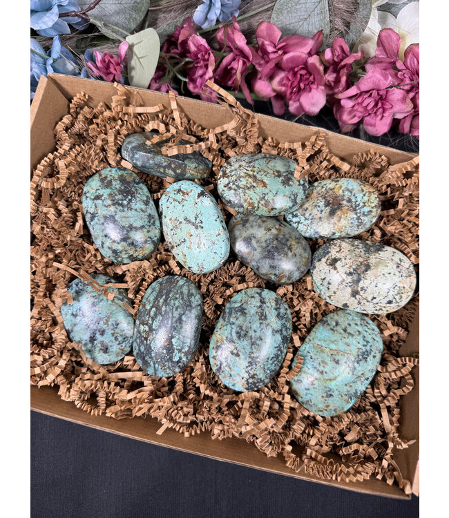 African Turquoise Palms 1KG bulk lot