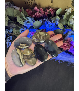 Fluorescent Agate Palm No Glow, Size XX-Small [25-49gr]