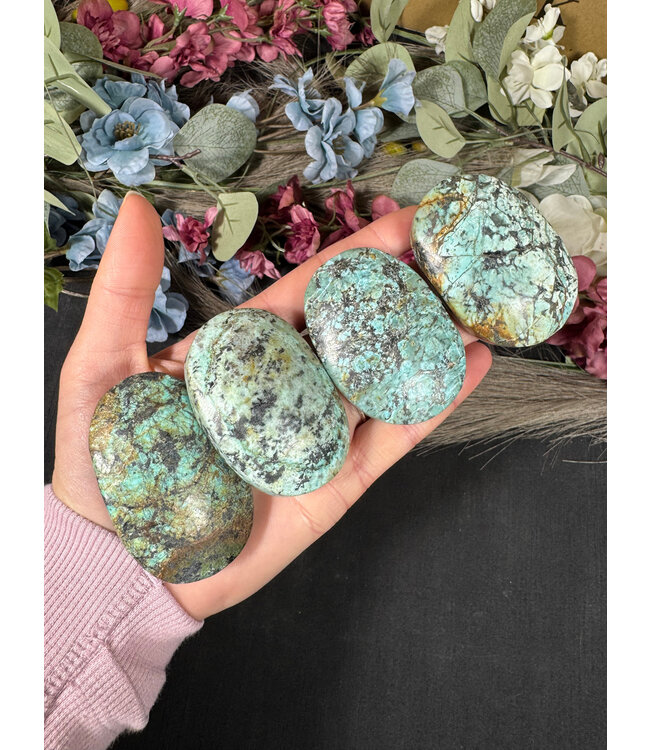 African Turquoise Palm, Size Small [75-99gr]