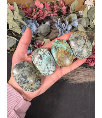 African Turquoise Palm, Size X-Small [50-74gr]