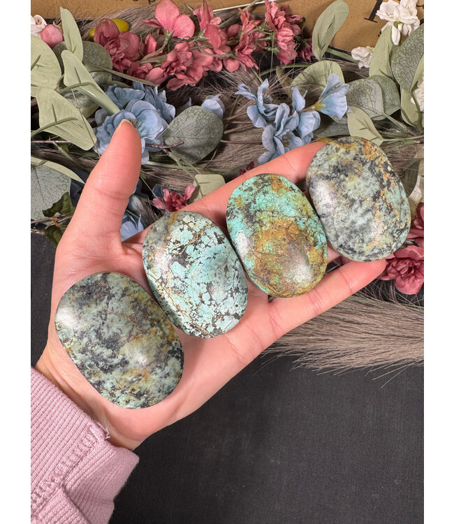 African Turquoise Palm, Size X-Small [50-74gr]