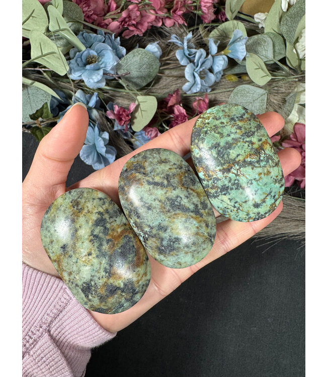 African Turquoise Palm, Size Medium [100-124gr]
