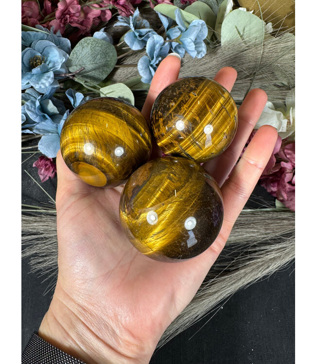 Tiger Eye Sphere, 50-54mm