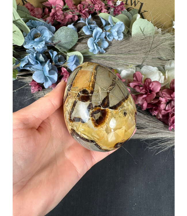 Septarian Egg, 70-74mm