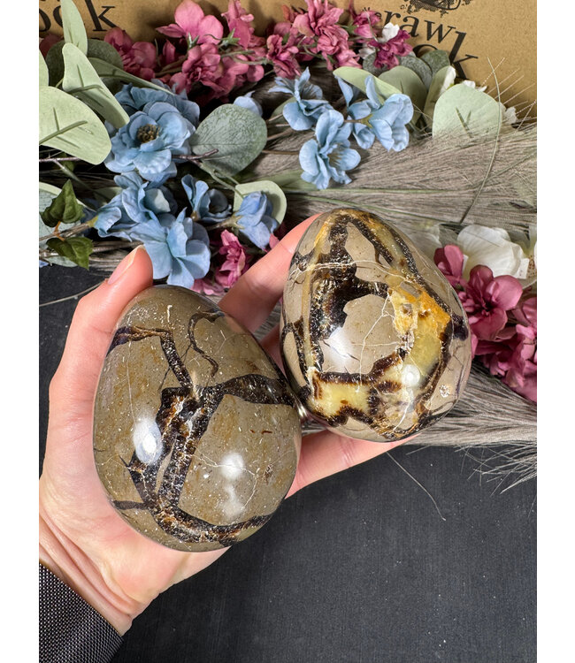 Septarian Egg, 65-69mm