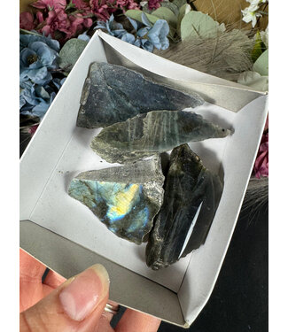 Labradorite Rough and Polished Mini Lot #8, 148gr
