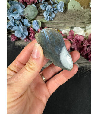 Labradorite Rough and Polished #52, 34gr
