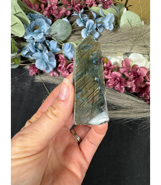 Labradorite Rough and Polished #60, 74gr