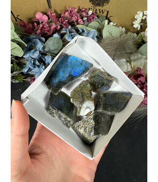 Labradorite Rough and Polished Mini Lot #1, 160gr
