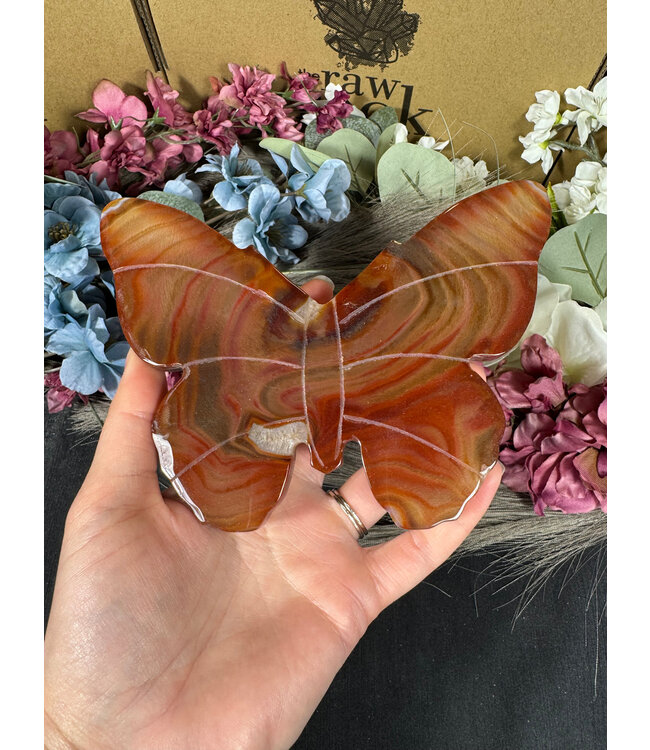 Carnelian Butterfly #11, 330gr