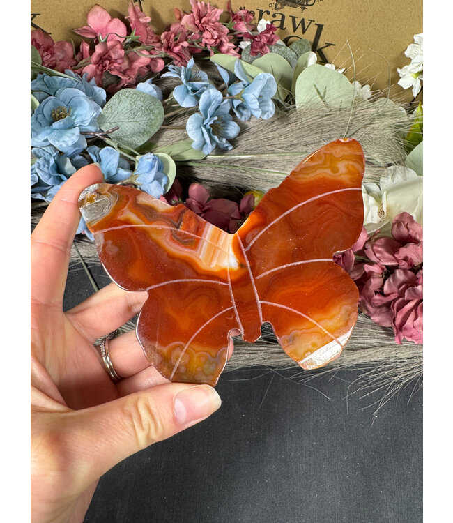 Carnelian Butterfly #30, 256gr