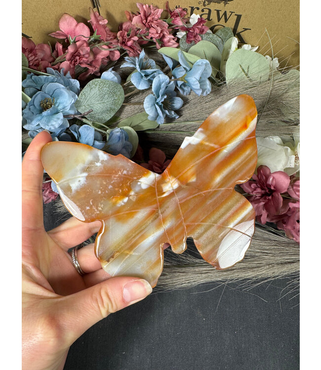 Carnelian Butterfly #31, 282gr