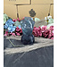 Rainbow Fluorite Goddess Body #6, 504gr