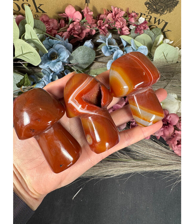 Carnelian Mushroom, Size Jumbo [150-174gr]