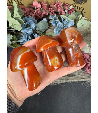 Carnelian Mushroom, Size XX-Large [125-149gr]