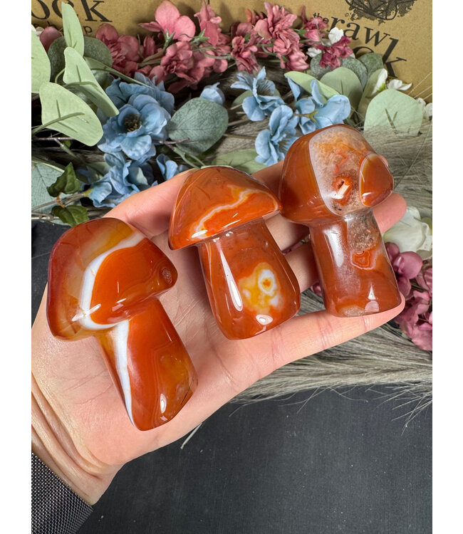 Carnelian Mushroom, Size XX-Large [125-149gr]