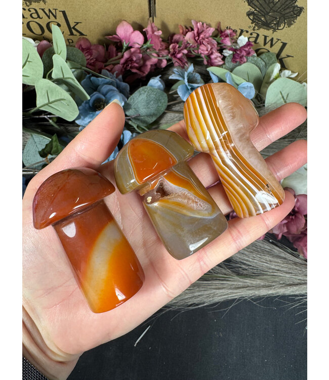 Carnelian Mushroom, Size Large [75-99gr]