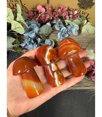 Carnelian Mushroom, Size X-Large [100-124gr]
