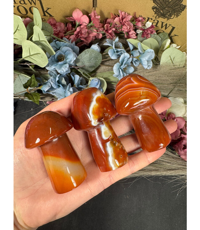 Carnelian Mushroom, Size X-Large [100-124gr]