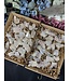 White Aura Quartz Clusters 1KG bulk lot