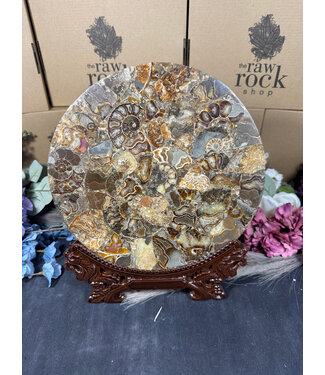 Ammonite Plate with Stand #10, 1026gr