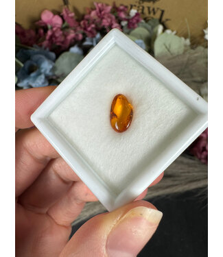 Polished Baltic Amber with Fossilized Insect #1, 14gr