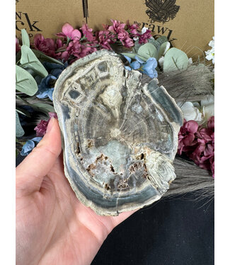 Petrified Wood Slice #2, 308gr