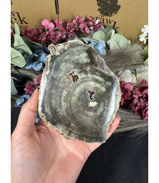 Petrified Wood Slice #3, 368gr