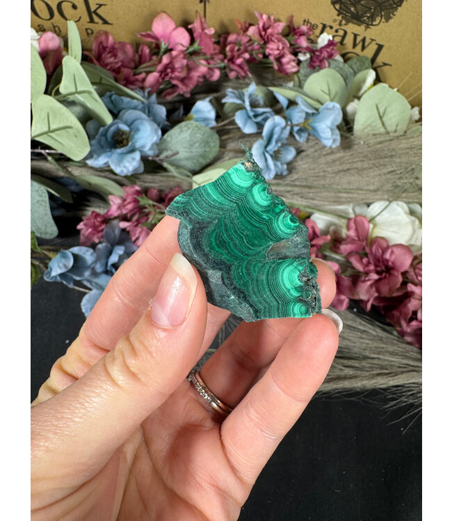 Malachite Slice #292, 22gr