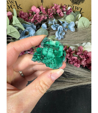 Malachite Slice #307, 26gr