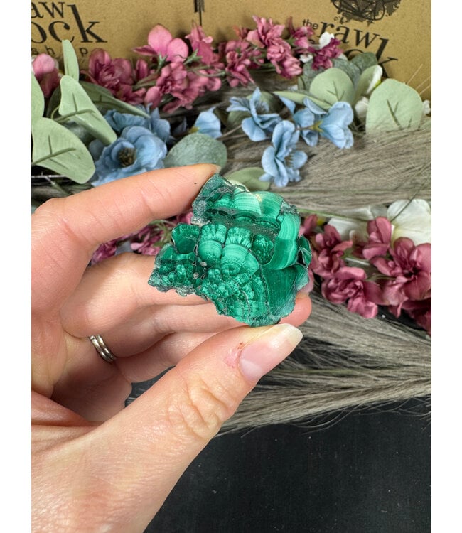 Malachite Slice #307, 26gr