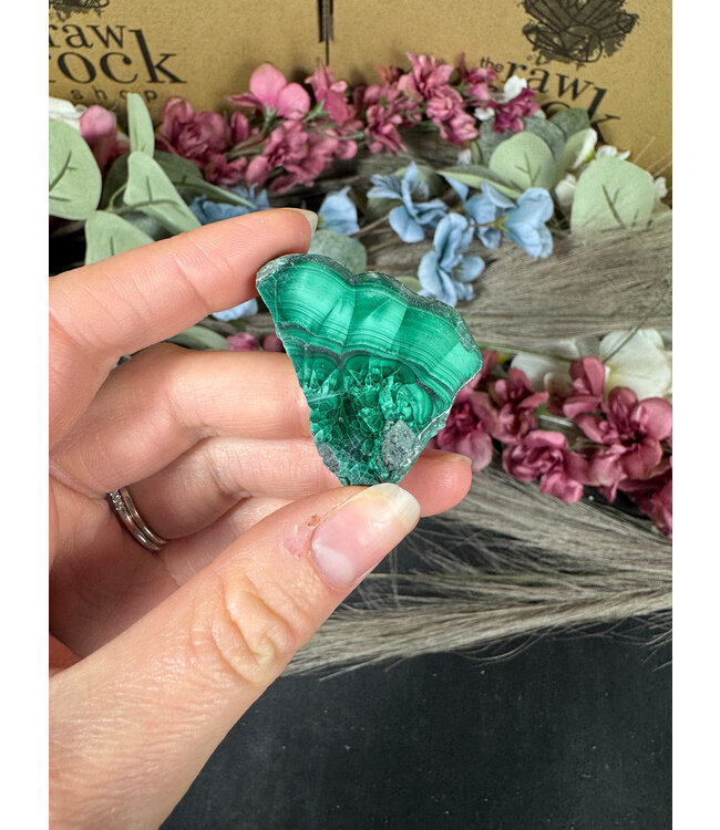 Malachite Slice #309, 22gr