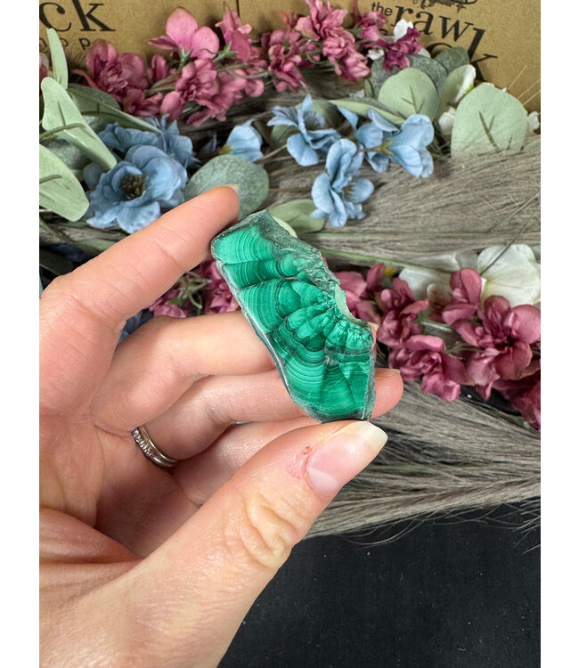 Malachite Slice #316, 26gr