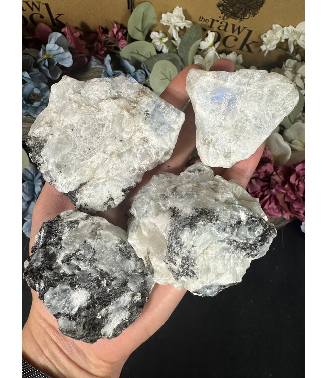 Rough Rainbow Moonstone Size 2 [100-199gr]