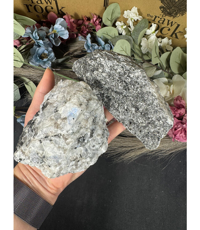 Rough Rainbow Moonstone Size 5 [400-499gr]