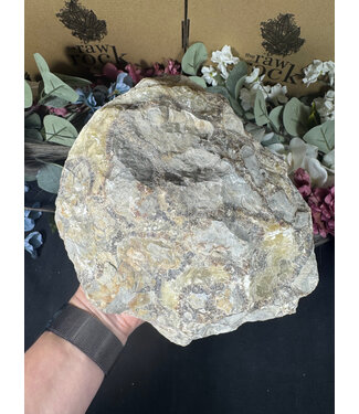 Rough Septarian #2, 5458gr
