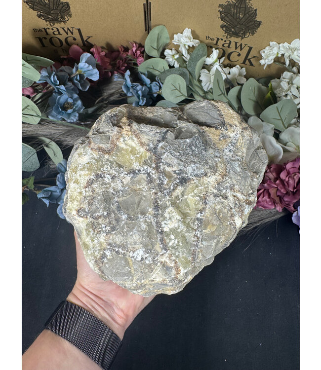 Rough Septarian #1, 4386gr