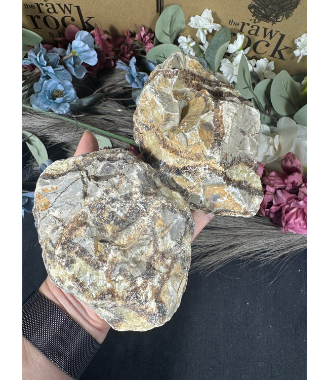 Rough Septarian Size 8 [700-799gr]