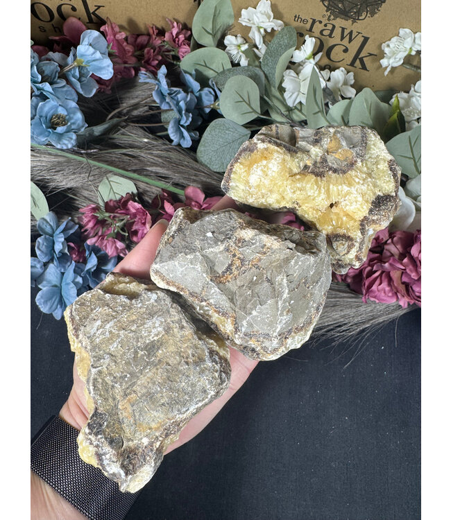 Rough Septarian Size 5 [400-499gr]