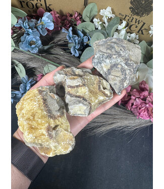 Rough Septarian Size 3 [200-299gr]