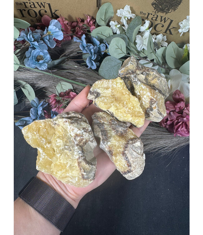 Rough Septarian Size 2 [100-199gr]