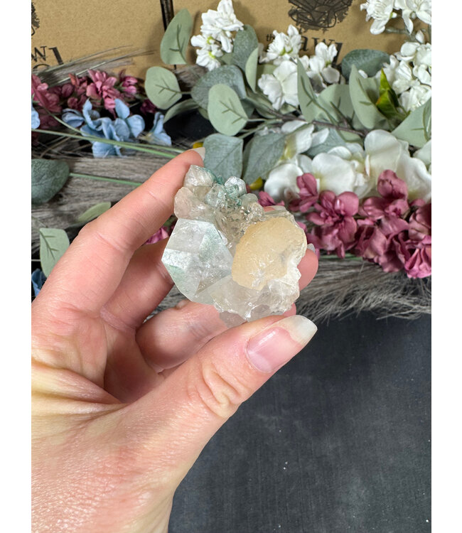 Apophyllite Specimen #1485, 66gr
