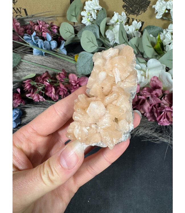 Apophyllite Specimen #1490, 82gr