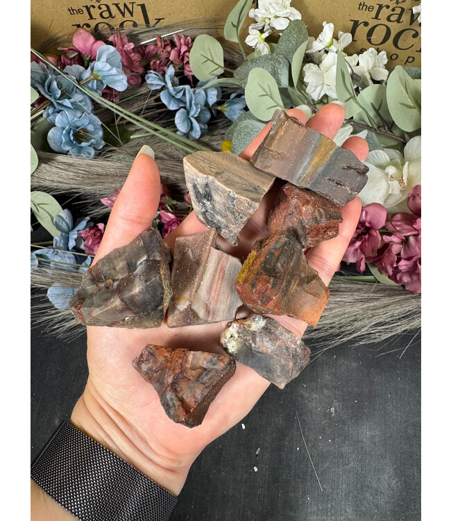 Rough Petrified Wood Size Small 500gr Bulk Pack