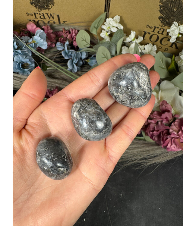 Larvikite Tumbled Stones, Polished; 3 sizes available, purchase individual or bulk