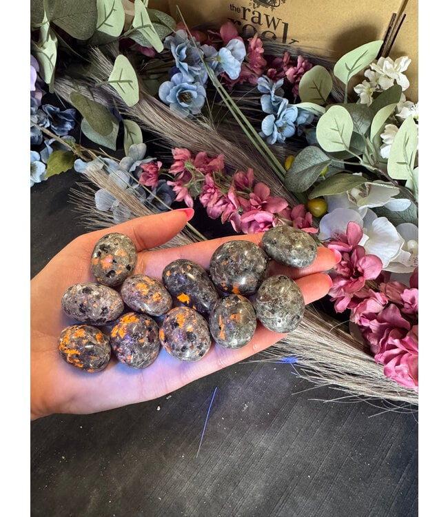 Yooperlite Tumbled Stones, Polished; 1 size available, purchase individual or bulk