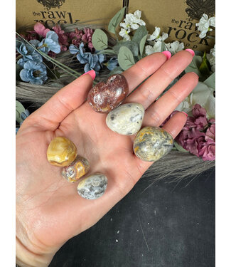 Crazy Lace Agate Tumbled Stones, Polished; 2 sizes available, purchase individual or bulk