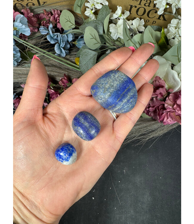 Lapis Lazuli Tumbled Stones, Grade A, 3 Sizes Available, Purchase Individual or Bulk