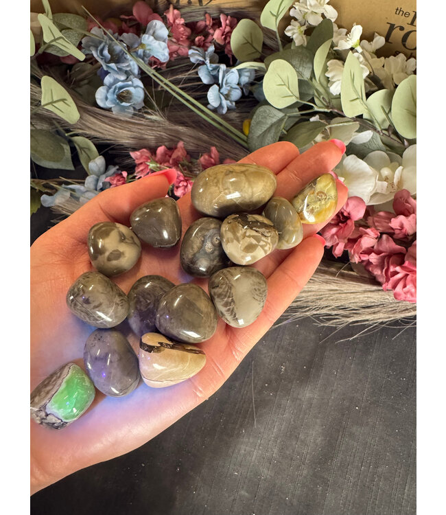 Fluorescent Agate Tumbled Stones, Polished; 1 size available, purchase individual or bulk