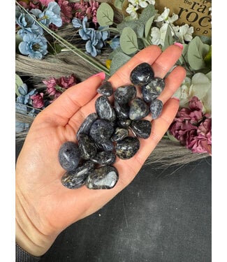 Iolite Tumbled Stones, Polished; 1 size available, purchase individual or bulk